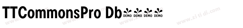 TTCommonsPro Db字体转换